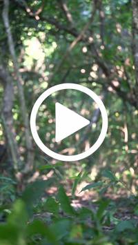 BIB:  <button type="button" onclick="openModal(28063896)" class="btn btn-primary btn-sm float-right" data-toggle="modal" data-target=".modal-high-quality">
                <i class="fa fa-download"></i> Download
                </button>